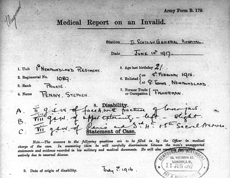 SOLDIER MEDICAL REPORT